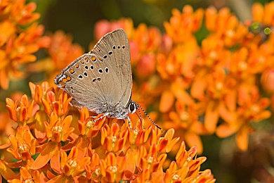 《奇异世界：灵魂风暴》将登陆NS 全新预告公布