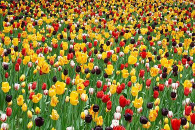 玩家热帖视点清奇 冬季还是夏季类型玩家有说法